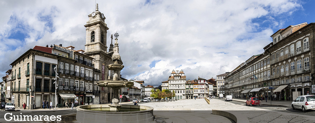 nimble_asset_zGuimaraes